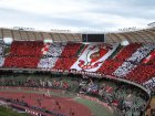 Bari Fiorentina 2-0 16 Maggio 2010